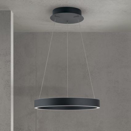 KOLK LED dimmelhető kábeles csillár LED/40W/230V 2700/3000/4000K Ø 40 cm fekete
