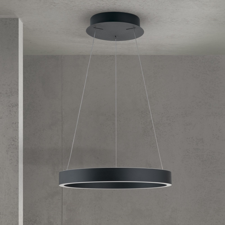 KOLK LED dimmelhető kábeles csillár LED/40W/230V 2700/3000/4000K Ø 40 cm fekete