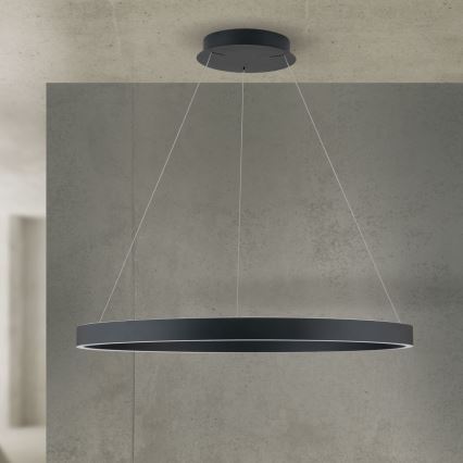 LED dimmelhető kábelen függesztett csillár KOLK LED/80W/230V 2700/3000/4000K átm. 80 cm fekete