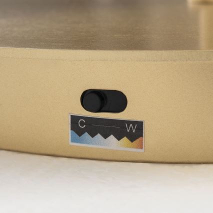 Dimmelhető LED állólámpa KOLK LED/40W/230V 2700/4000K aranyszínű