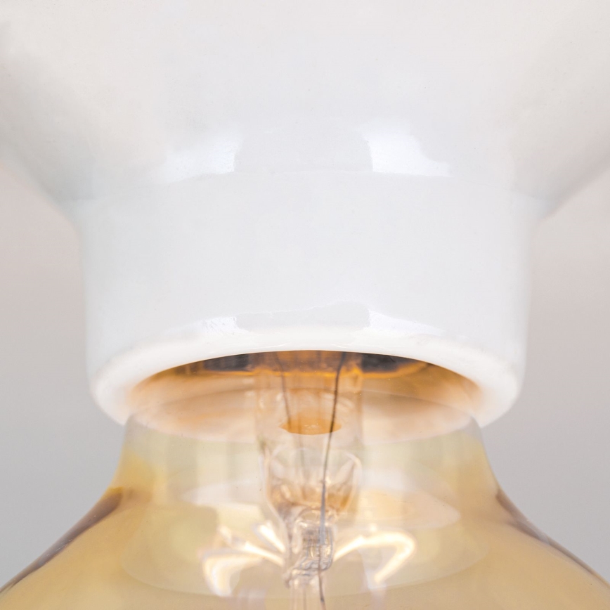 Mennyezeti lámpa FROST 1xE27/60W/230V fehér