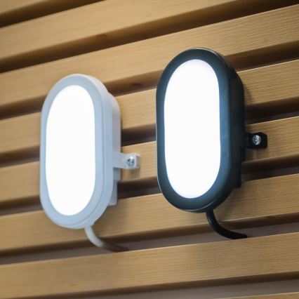 Osram - BULKHEAD LED-es kültéri fali lámpa, 6W, 230V, IP54, fekete
