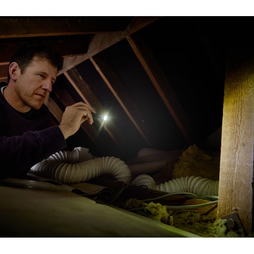 Osram - Dimmelhető LED zseblámpa LEDINSPECT TORCH 250 ESSENTIAL LED/2W/2xAAA IP44