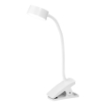 Osram - LED fényerőszabályozható csíptethető asztali lámpa OFFICE LINE LED/4,8W/230V 3000/4000/6500K fehér