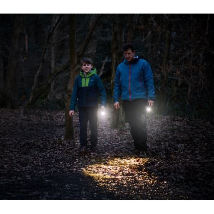 Osram - Fényerőszabályozható LED zseblámpa LEDINSPECT TORCH 350 ESSENTIAL LED/4W/2xAAA IP44