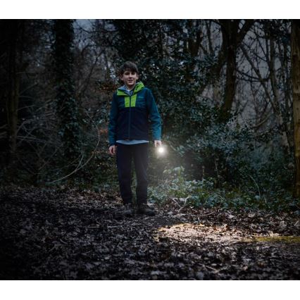 Osram - Fényerőszabályozható LED zseblámpa LEDINSPECT TORCH 350 ESSENTIAL LED/4W/2xAAA IP44