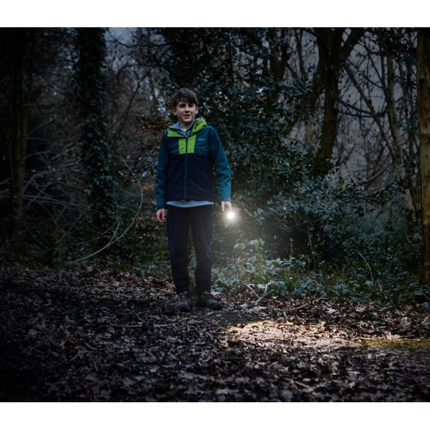 Osram - Fényerőszabályozható LED zseblámpa LEDINSPECT TORCH 350 ESSENTIAL LED/4W/2xAAA IP44