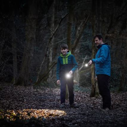 Osram - Dimmelhető LED zseblámpa LEDINSPECT TORCH 450 ESSENTIAL LED/6W/3xAAA IP44