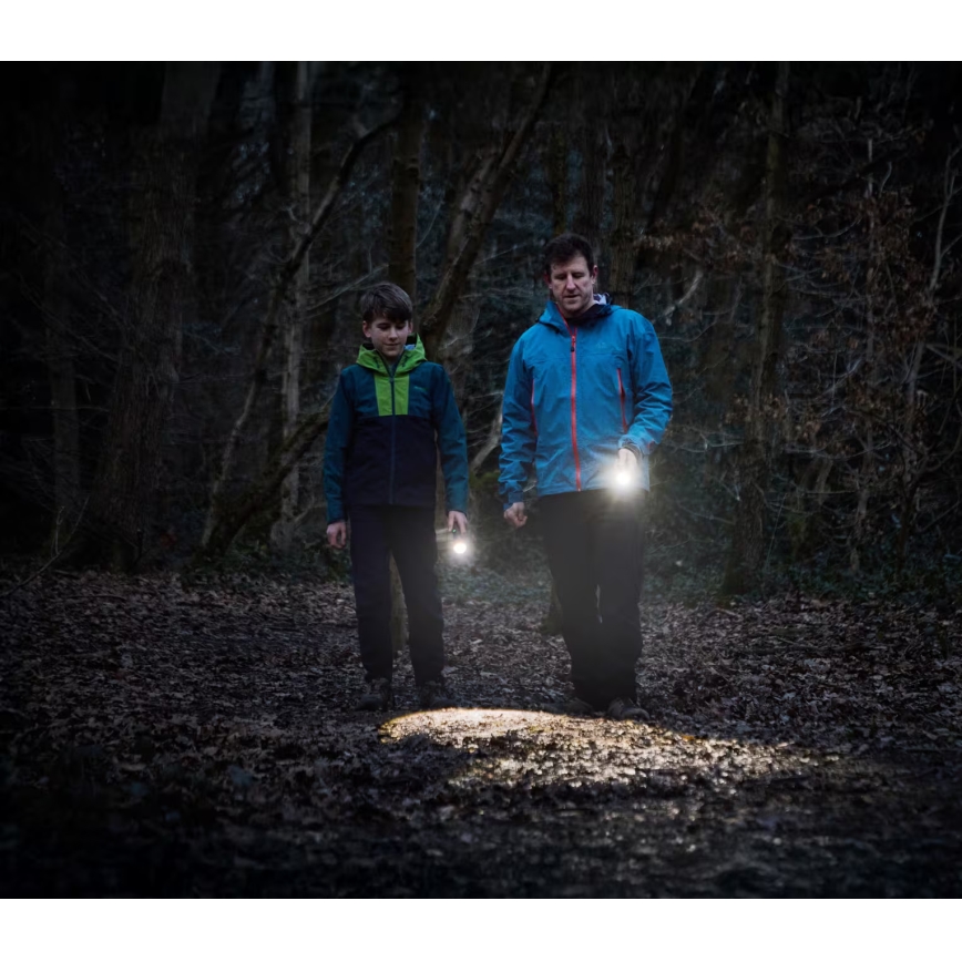 Osram - Dimmelhető LED zseblámpa LEDINSPECT TORCH 450 ESSENTIAL LED/6W/3xAAA IP44