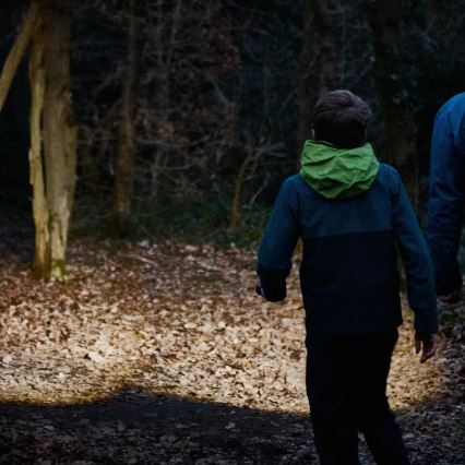 Osram - Dimmelhető LED zseblámpa LEDINSPECT TORCH 450 ESSENTIAL LED/6W/3xAAA IP44