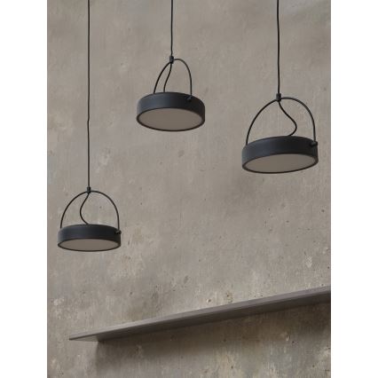 Osram - LED függeszték kábellel DECOR PUCK 3xLED/12W/230V CRI 90 fekete