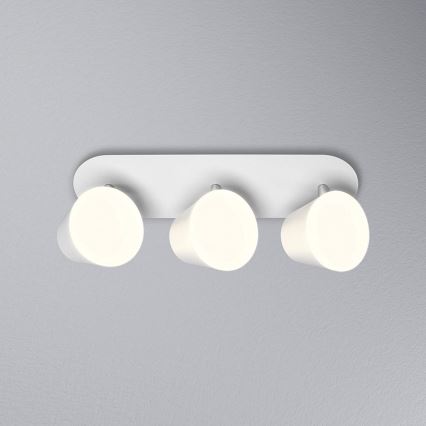 Osram - LED fürdőszobai spotlámpa SPOT 3xLED/7W/230V IP44 3000/4000K