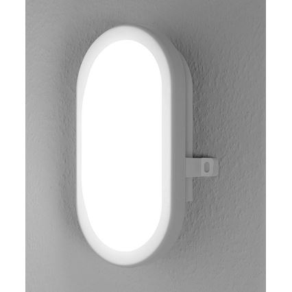 Osram - LED Kültéri fali lámpa  BULKHEAD 1xLED/11W/230V IP54