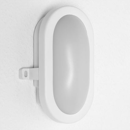 Osram - LED kültéri fali lámpa BULKHEAD LED/6W/230V IP54 fehér