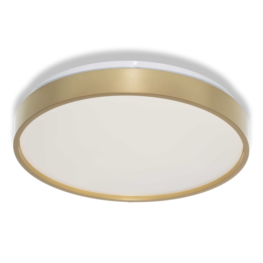 Osram - LED mennyezeti lámpatest CEILING LUXO LED/18W/230V átm. 32 cm arany