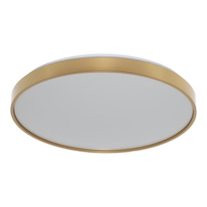 Osram - LED mennyezeti lámpatest CEILING LUXO LED/36W/230V Ø 49 cm arany