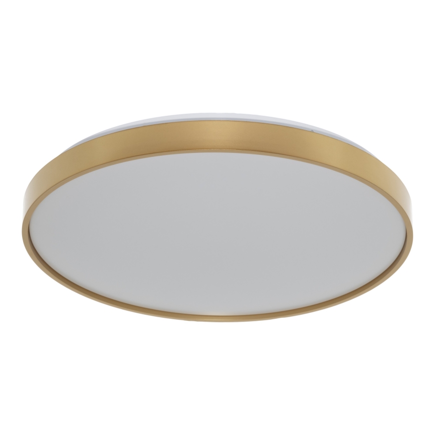 Osram - LED mennyezeti lámpatest CEILING LUXO LED/36W/230V Ø 49 cm arany