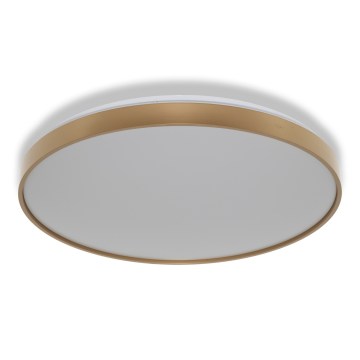 Osram - LED mennyezeti lámpatest CEILING LUXO LED/60W/230V átm. 56 cm aranyszínű