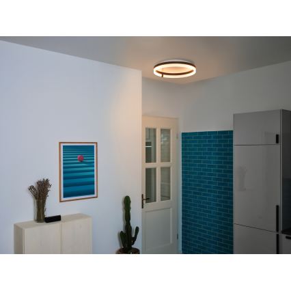 Osram - LED mennyezeti lámpatest DECOR CIRCLE LED/32W/230V 3000/4000/6500K átm. 50 cm fekete/fehér