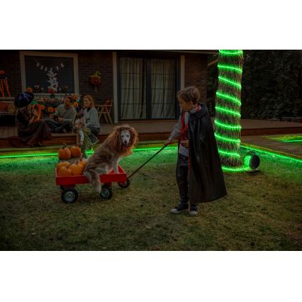 Osram - LED RGB dimmelhető kültéri szalag FLEX 15m LED/100W/230V IP65 + távirányító