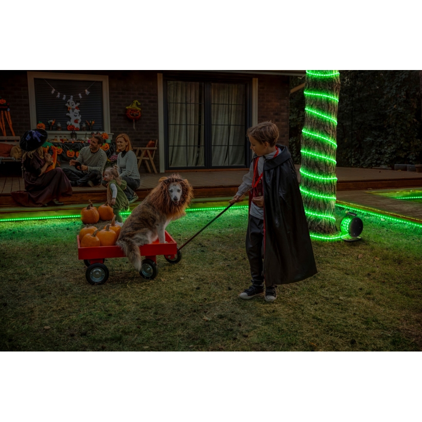 Osram - LED RGB dimmelhető kültéri szalag FLEX 15m LED/100W/230V IP65 + távirányító