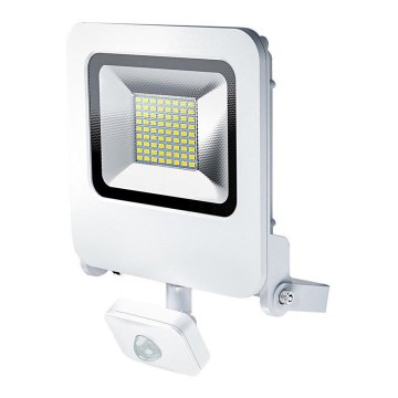 Osram - LED szenzoros kültéri reflektor ENDURA LED/50W/240V IP44 fehér