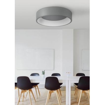 LED Mennyezeti lámpa KAJI LED/20W/230V