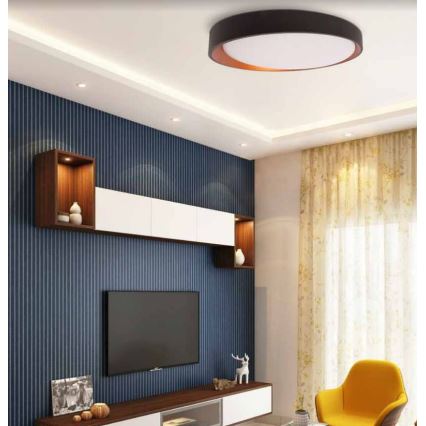 LED Mennyezeti lámpa ADEL LED/40W/230V ø 50 cm fekete