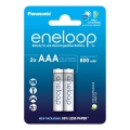 Panasonic - 2 db Tölthető elem AAA Eneloop 800 mAh