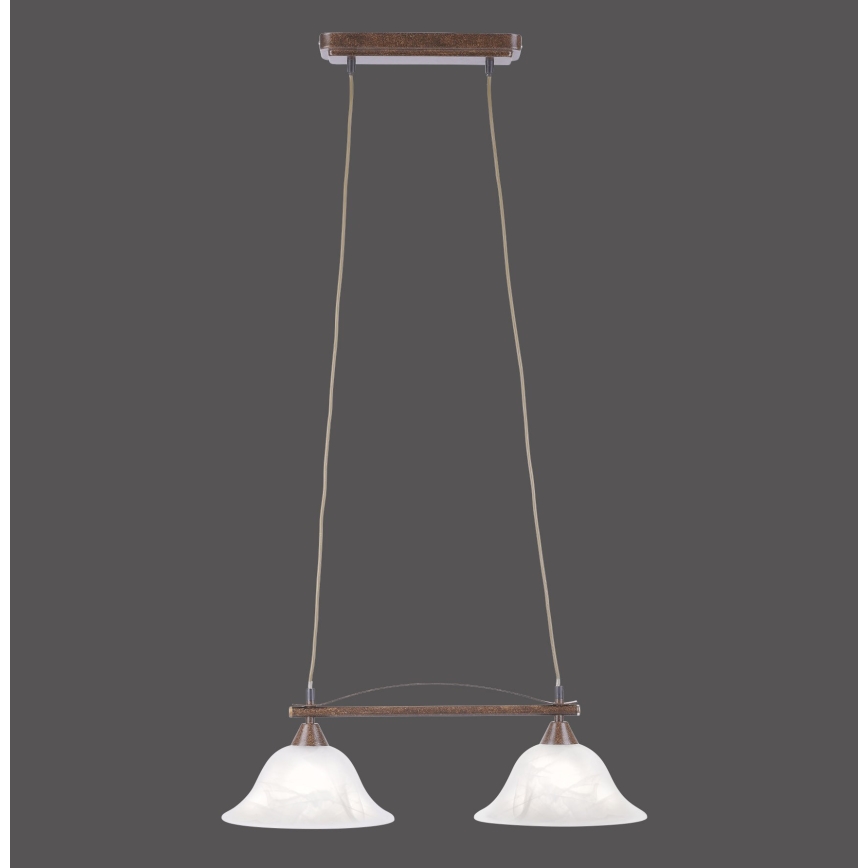 Paul Neuhaus 15242-48 - Csillár zsinóron NELLY 2xE14/40W/230V