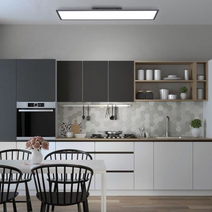 Paul Neuhaus 16533-16-O - LED Dimmelhető felületre szerelhető panel FLAT LED/24W/230V 2700-5000K fekete + távirányító