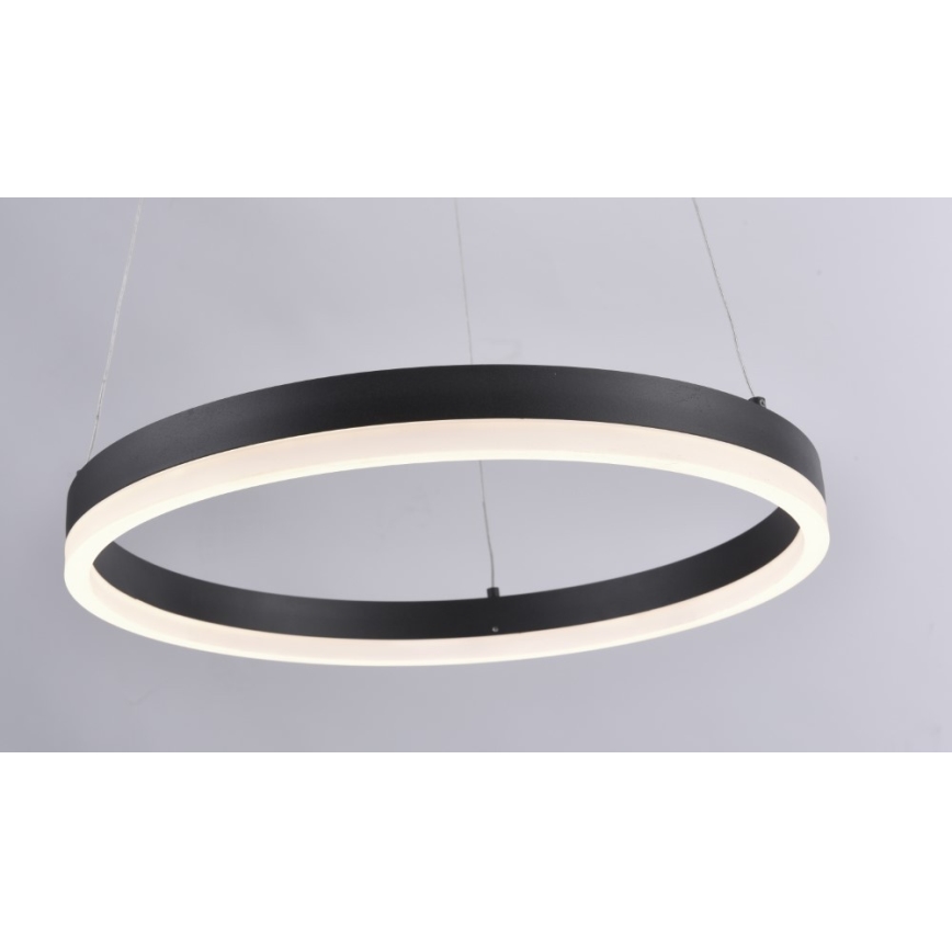 Paul Neuhaus 2381-13 - LED Dimmelhető csillár zsinóron TITUS LED/28W/230V