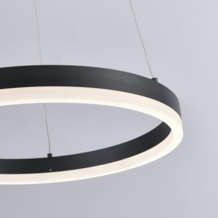 Paul Neuhaus 2381-13 - LED Dimmelhető csillár zsinóron TITUS LED/28W/230V