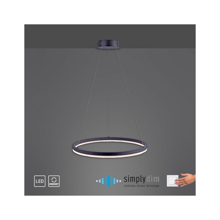 Paul Neuhaus 2382-13 - LED Dimmelhető csillár zsinóron TITUS LED/38,5W/230V