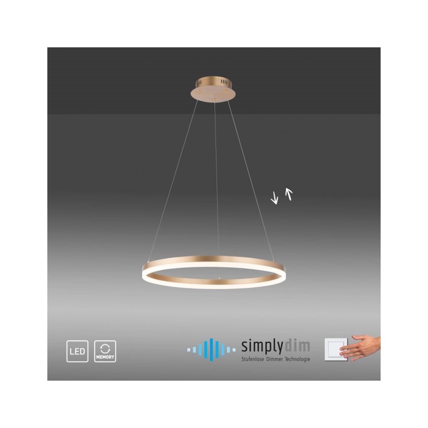 Paul Neuhaus 2382-60 - LED dimmelhető csillár zsinóron TITUS LED/38,5W/230V