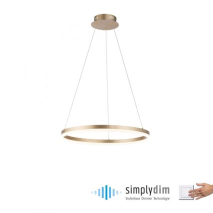 Paul Neuhaus 2382-60 - LED dimmelhető csillár zsinóron TITUS LED/38,5W/230V