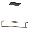 Paul Neuhaus 2441-18 - LED Dimmelhető csillár zsinóron CONTURA 4xLED/8W/230V