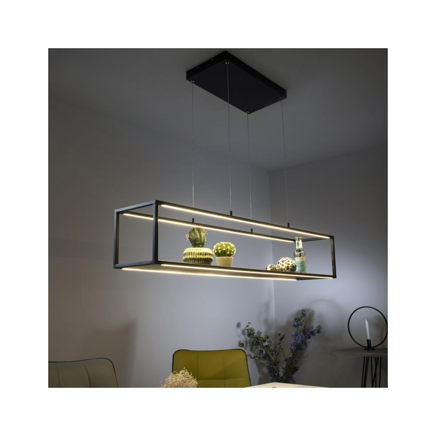 Paul Neuhaus 2441-18 - LED Dimmelhető csillár zsinóron CONTURA 4xLED/8W/230V