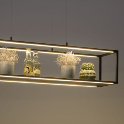 Paul Neuhaus 2441-18 - LED Dimmelhető csillár zsinóron CONTURA 4xLED/8W/230V