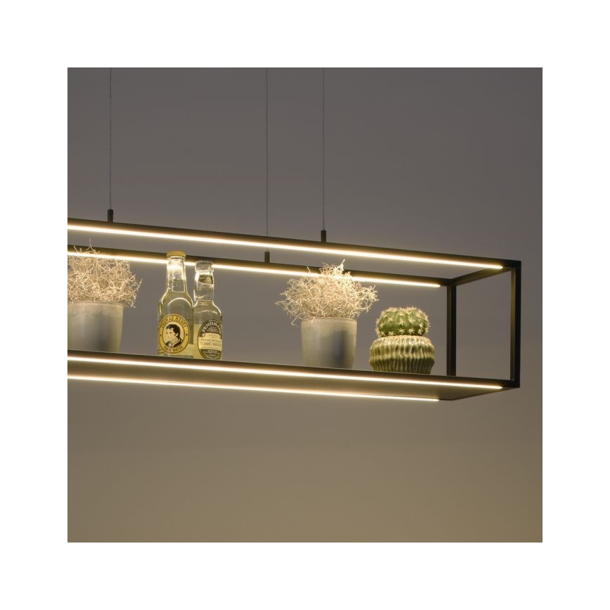 Paul Neuhaus 2441-18 - LED Dimmelhető csillár zsinóron CONTURA 4xLED/8W/230V