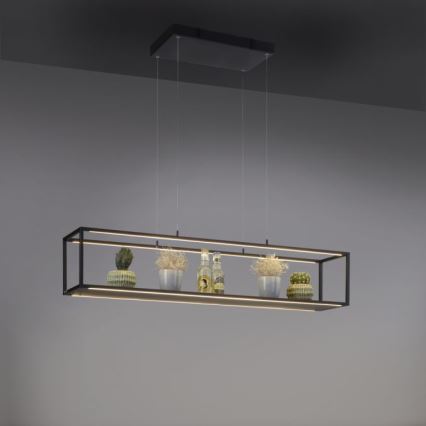 Paul Neuhaus 2441-18 - LED Dimmelhető csillár zsinóron CONTURA 4xLED/8W/230V