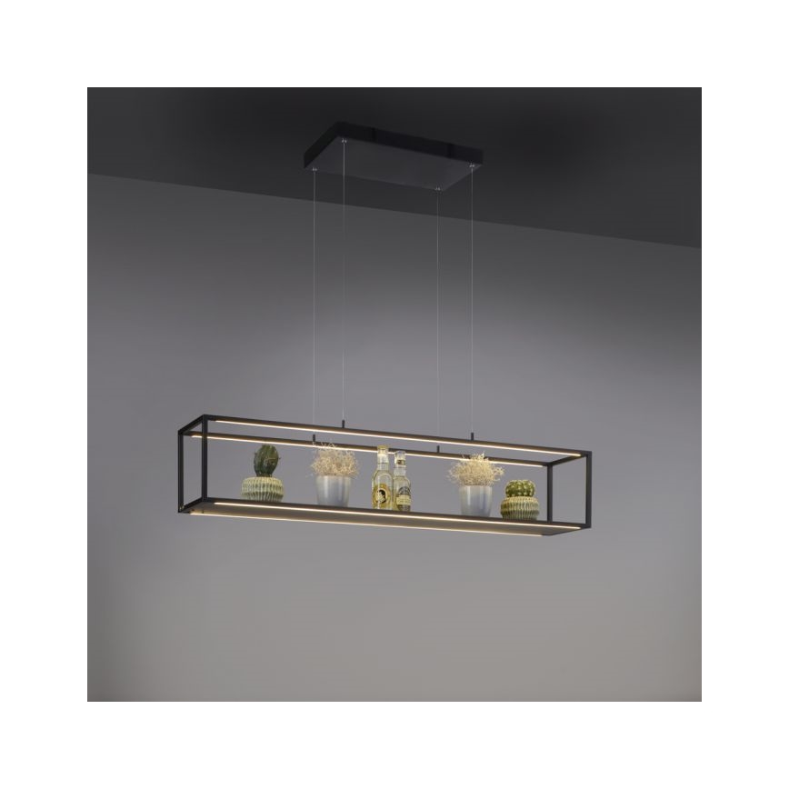 Paul Neuhaus 2441-18 - LED Dimmelhető csillár zsinóron CONTURA 4xLED/8W/230V