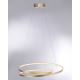 Paul Neuhaus 2474-12 - LED Dimmelhető csillár zsinóron ROMAN LED/40W/230V arany