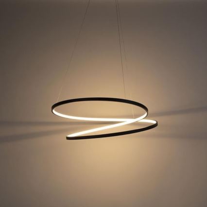 Paul Neuhaus 2474-18 - LED Dimmelhető csillár zsinóron ROMAN LED/40W/230V fekete