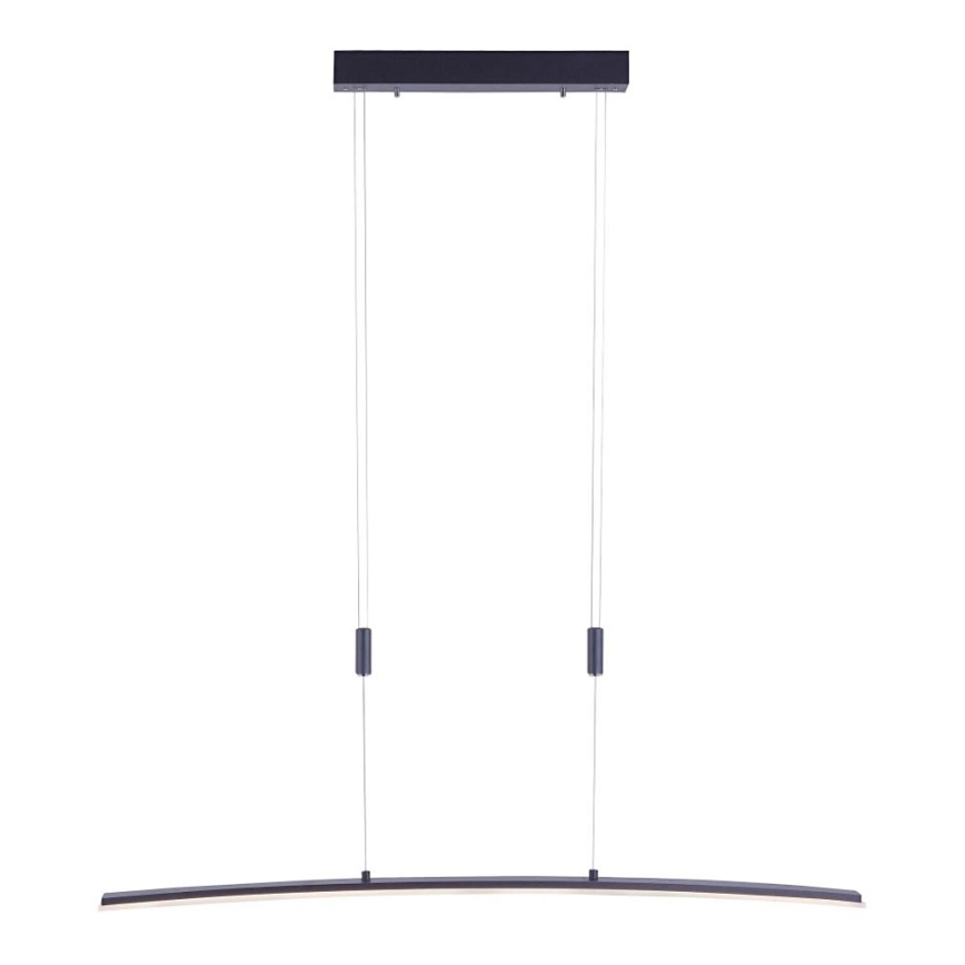 Paul Neuhaus 2530-13 - LED Dimmelhető csillár zsinóron JANINA LED/27W/230V