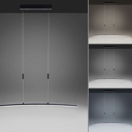 Paul Neuhaus 2530-13 - LED Dimmelhető csillár zsinóron JANINA LED/27W/230V