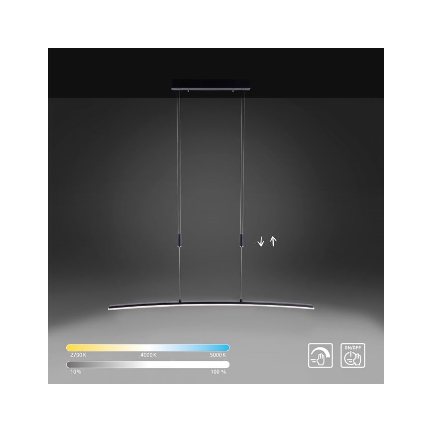 Paul Neuhaus 2530-13 - LED Dimmelhető csillár zsinóron JANINA LED/27W/230V