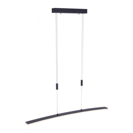 Paul Neuhaus 2530-13 - LED Dimmelhető csillár zsinóron JANINA LED/27W/230V