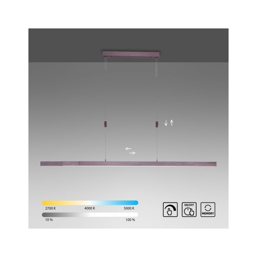 Paul Neuhaus 2568-24 - LED dimmelhető csillár zsinóron ADRIANA LED/14W/230V 2700-5000K