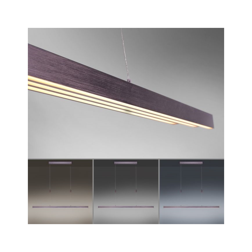 Paul Neuhaus 2568-24 - LED dimmelhető csillár zsinóron ADRIANA LED/14W/230V 2700-5000K